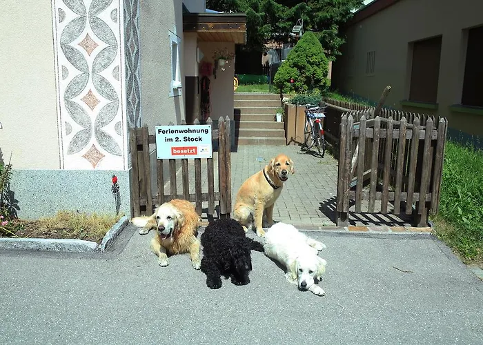 Haus Pyrola アパート *