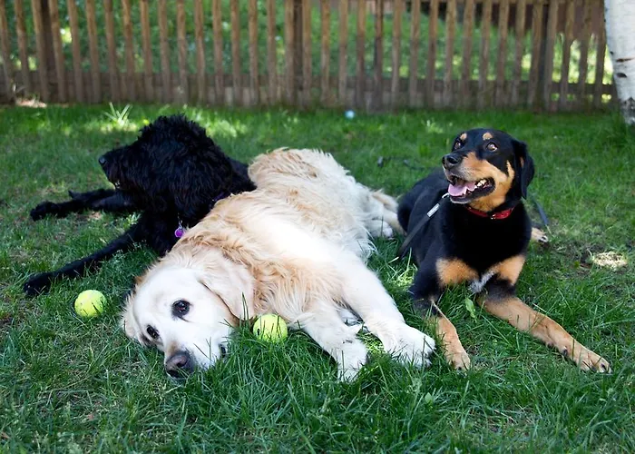 Апартаменты Haus Pyrola *